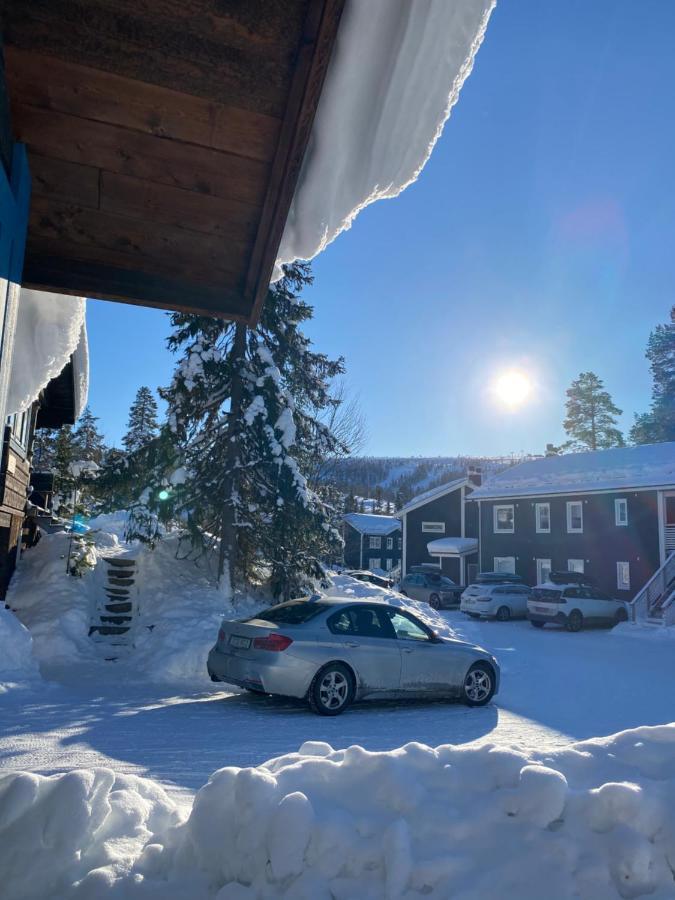 Joaengets Fjaellgard Villa Salen  Bagian luar foto