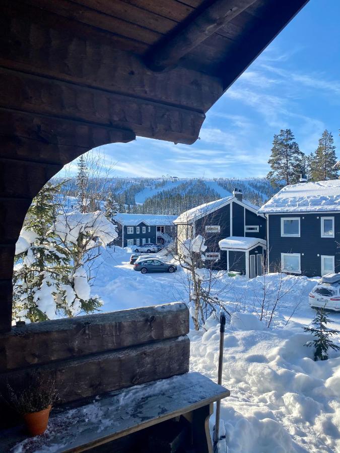 Joaengets Fjaellgard Villa Salen  Bagian luar foto