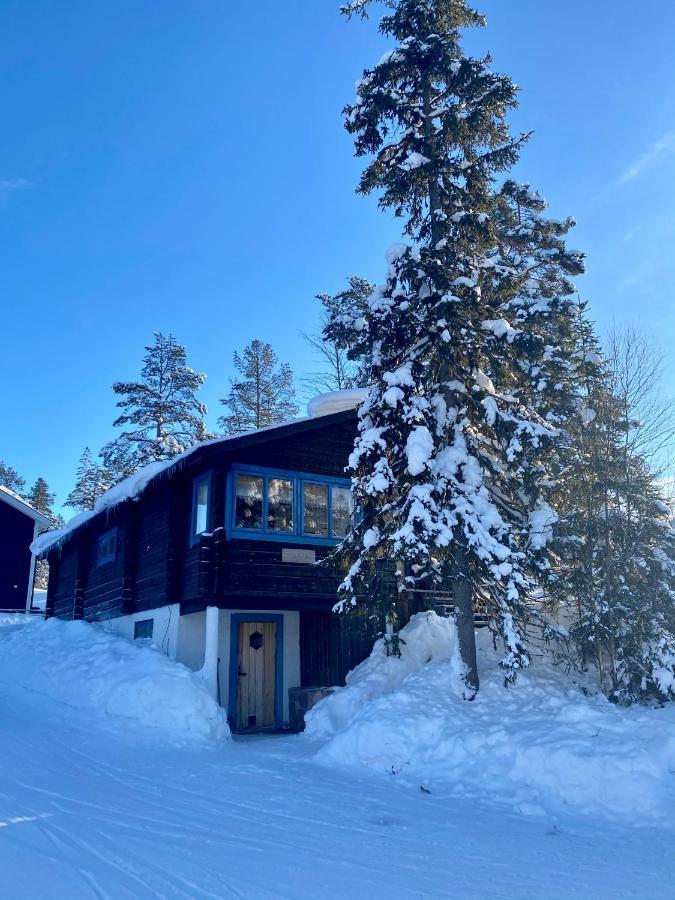 Joaengets Fjaellgard Villa Salen  Bagian luar foto