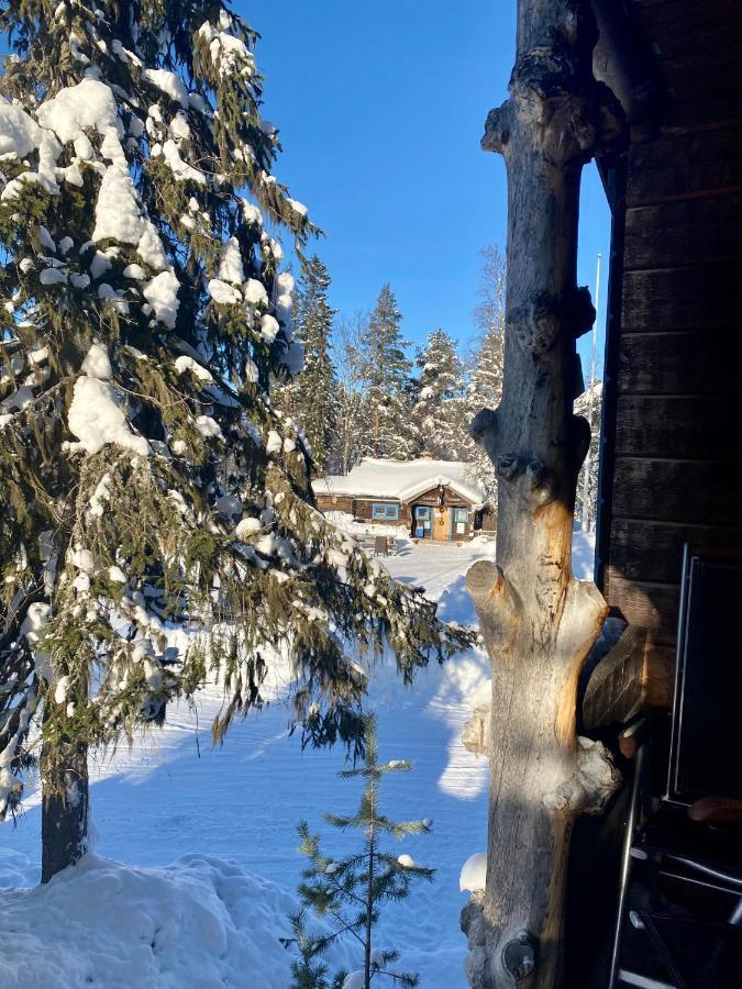 Joaengets Fjaellgard Villa Salen  Bagian luar foto